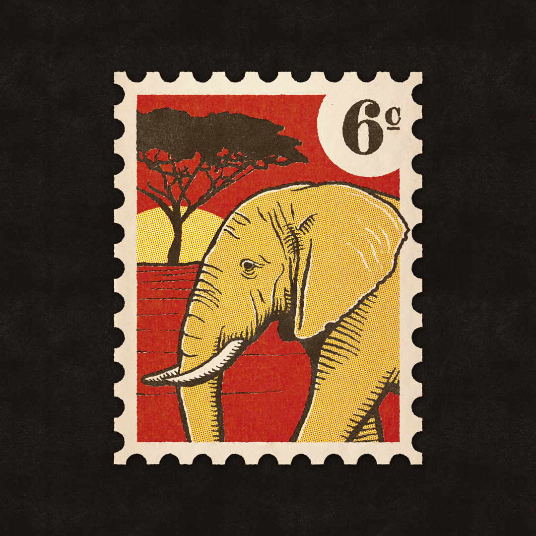 adobe_elephant_insta